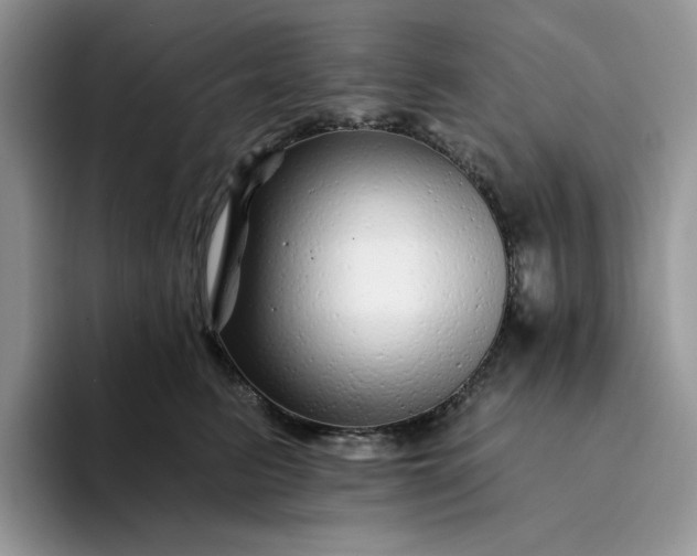 X0000094190615200711091202