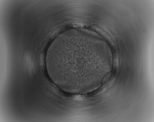 X0000094190616200711091202