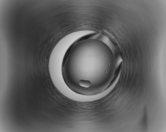 X0000094190617200711091202