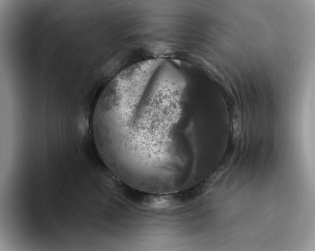 X0000094190618200711091202