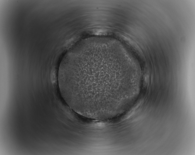 X0000094190620200711091202