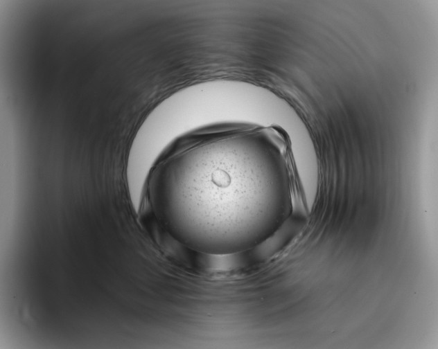 X0000094190621200711091202