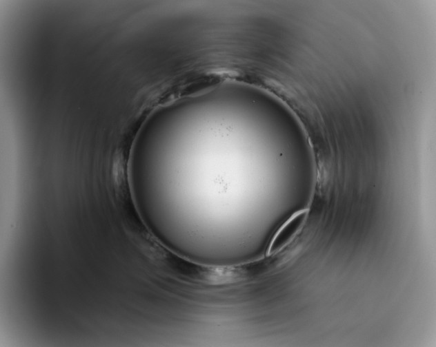 X0000094190623200711091202