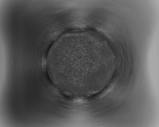 X0000094190624200711091202