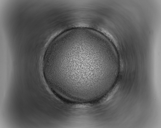 X0000094190625200711091201