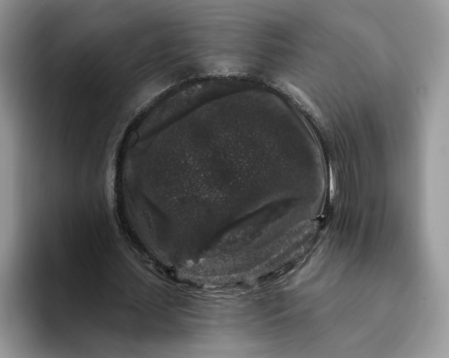 X0000094190627200711091201