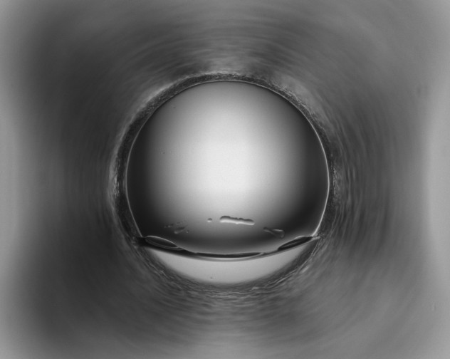 X0000094190628200711091201