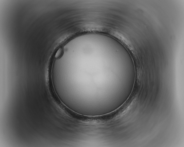 X0000094190629200711091201