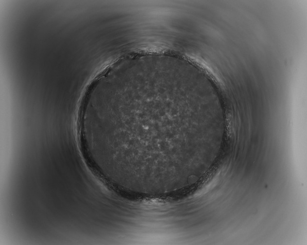 X0000094190634200711091201