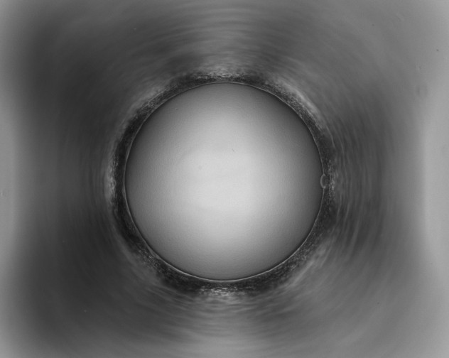 X0000094190635200711091201