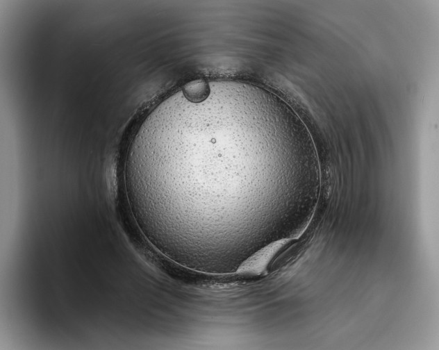 X0000094190638200711091202