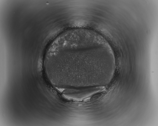 X0000094190640200711091202