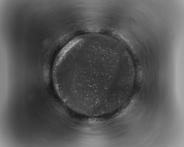 X0000094190641200711091202