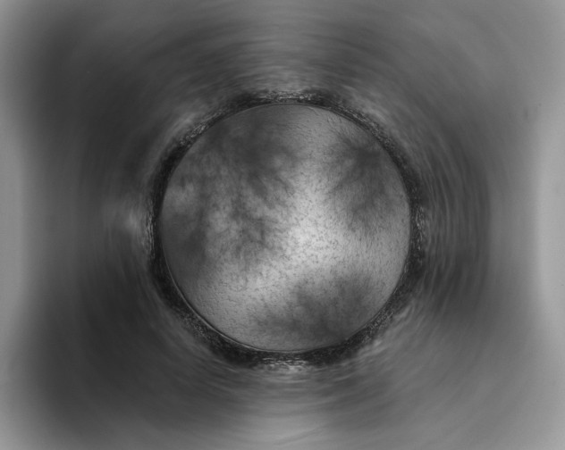 X0000094190642200711091202