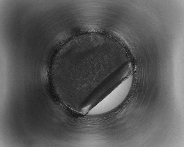 X0000094190643200711091202