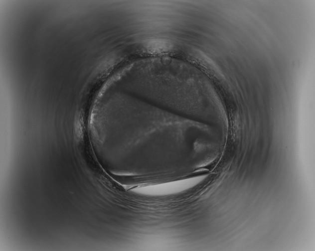 X0000094190644200711091202