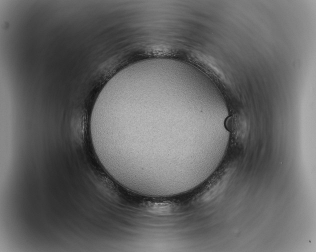 X0000094190645200711091202