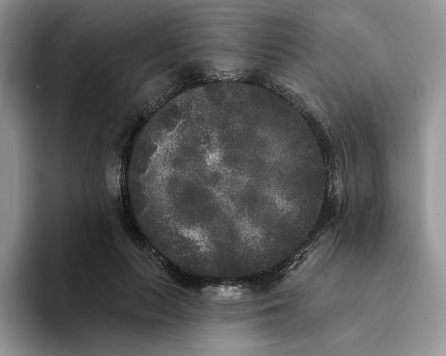 X0000094190647200711091202