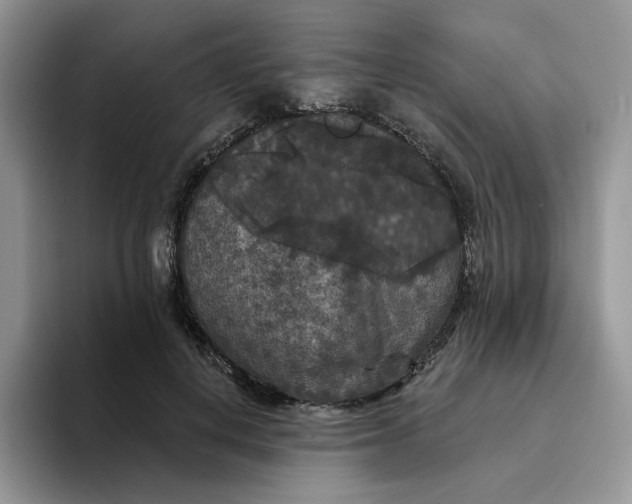 X0000094190648200711091202