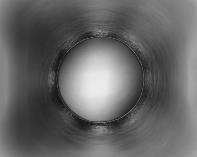 X0000094190649200711091202