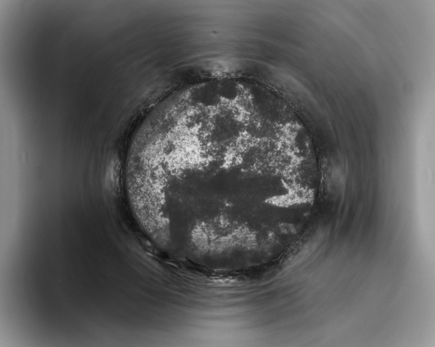 X0000094190650200711091202