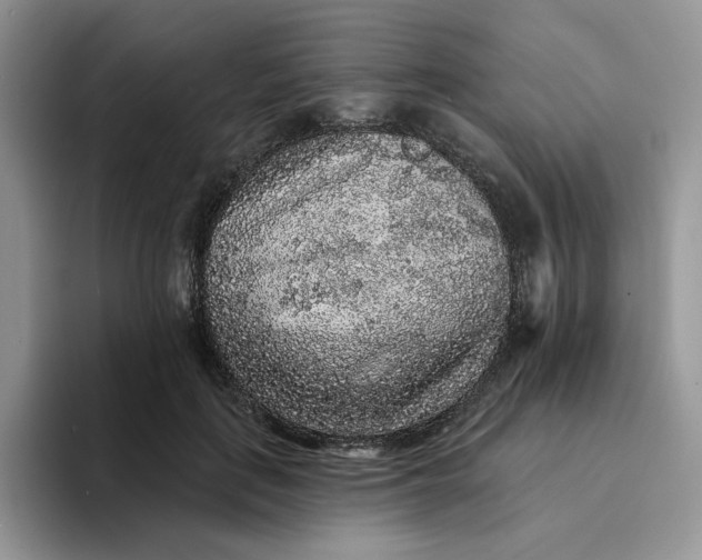 X0000094190651200711091202