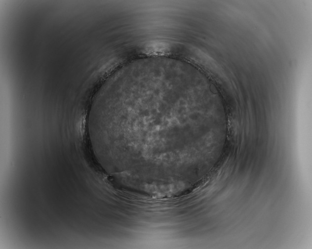 X0000094190652200711091202