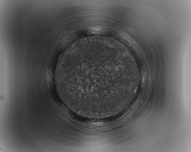 X0000094190653200711091202