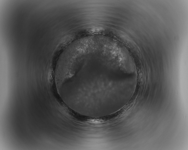 X0000094190654200711091202