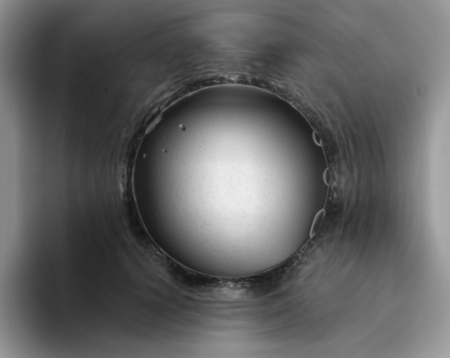 X0000094190656200711091202