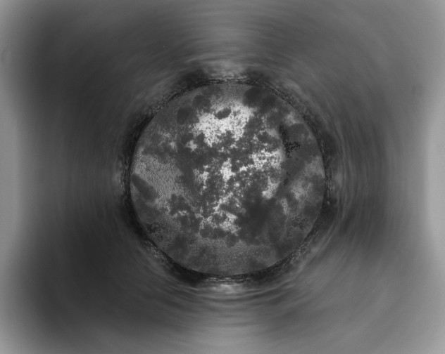 X0000094190658200711091202