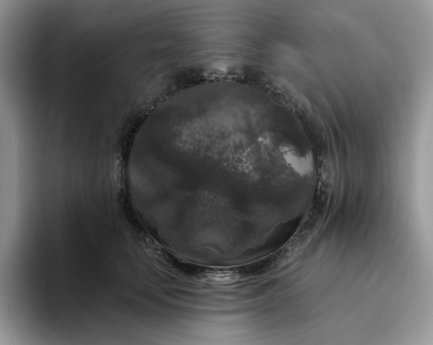 X0000094190659200711091202