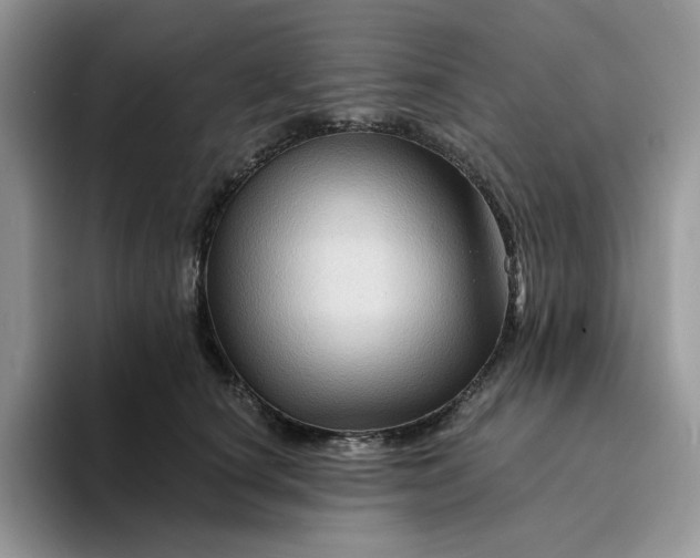 X0000094190660200711091202