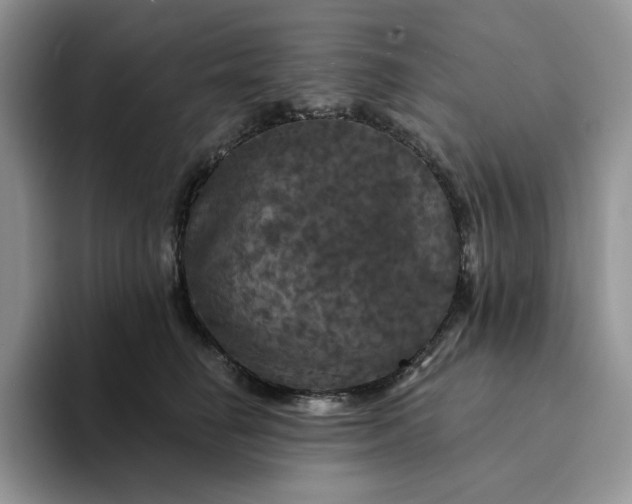 X0000094190662200711091202