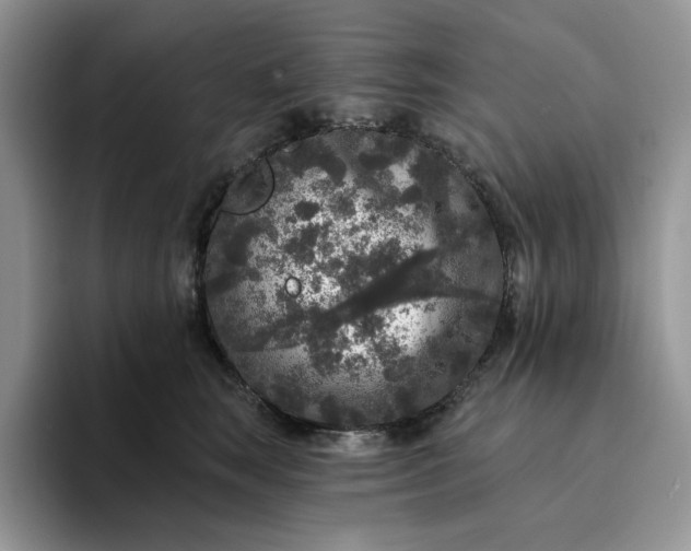 X0000094190663200711091202