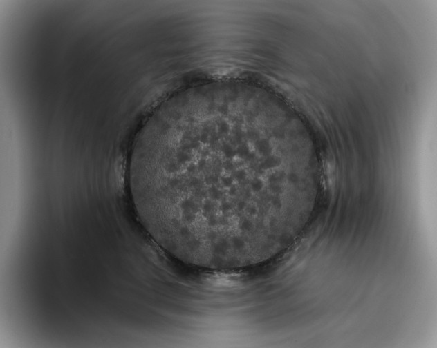 X0000094190664200711091202