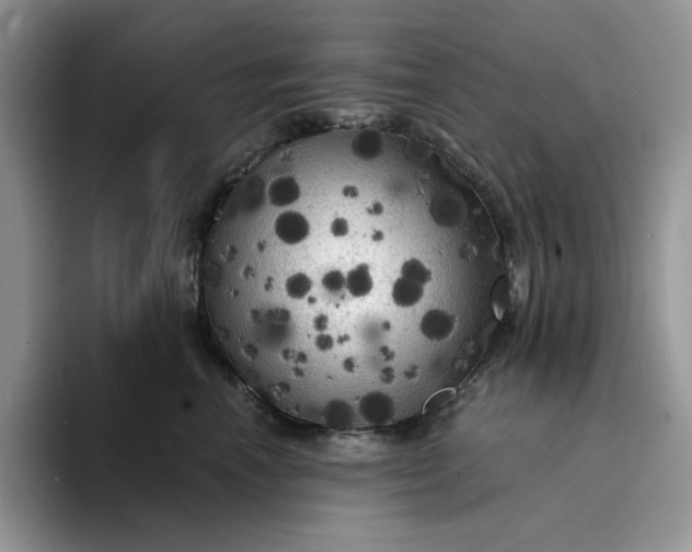 X0000094190666200711091202