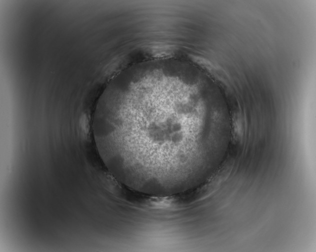 X0000094190667200711091202