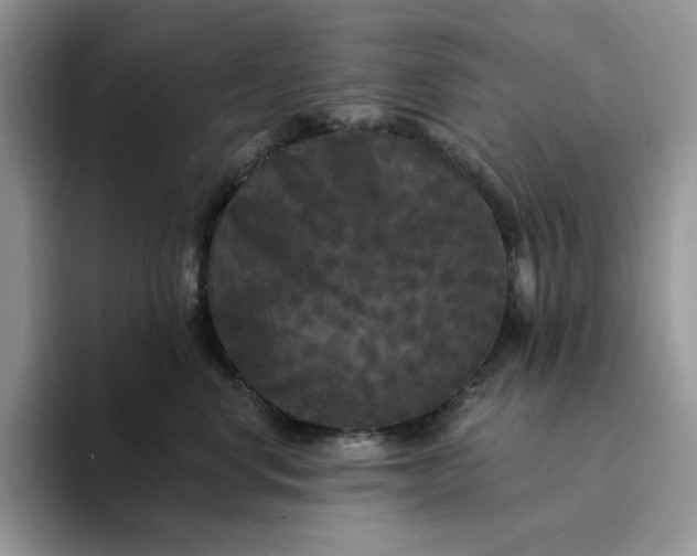 X0000094190668200711091202