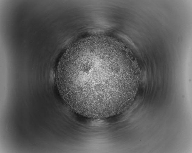 X0000094190669200711091202