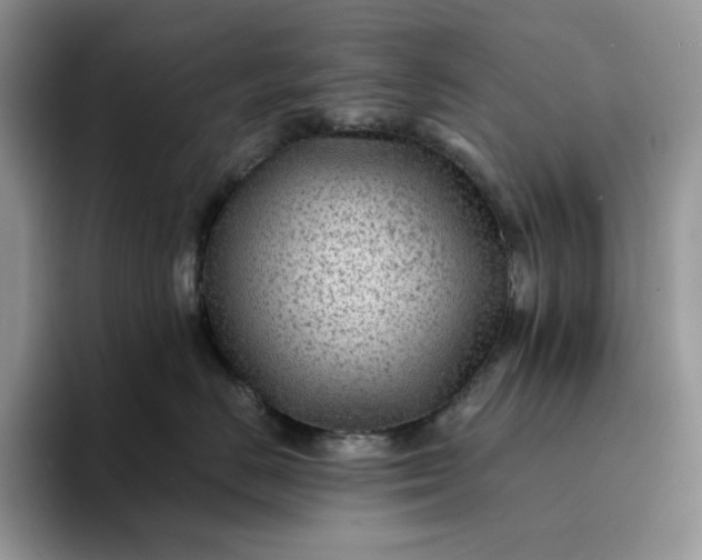 X0000094190670200711091202