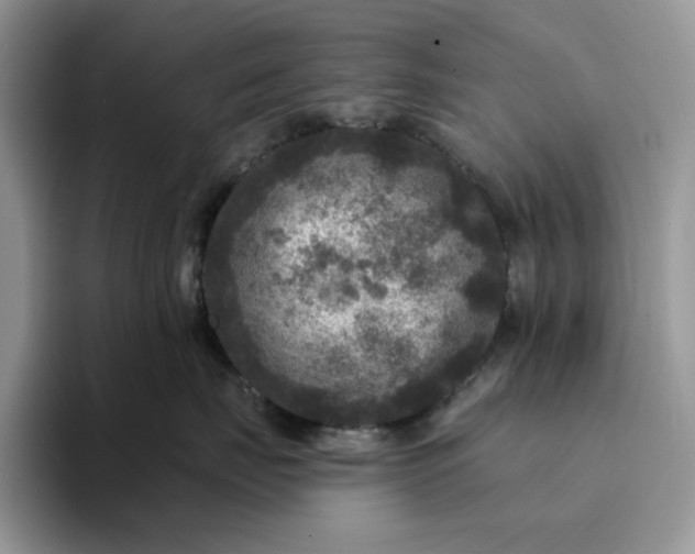 X0000094190671200711091202