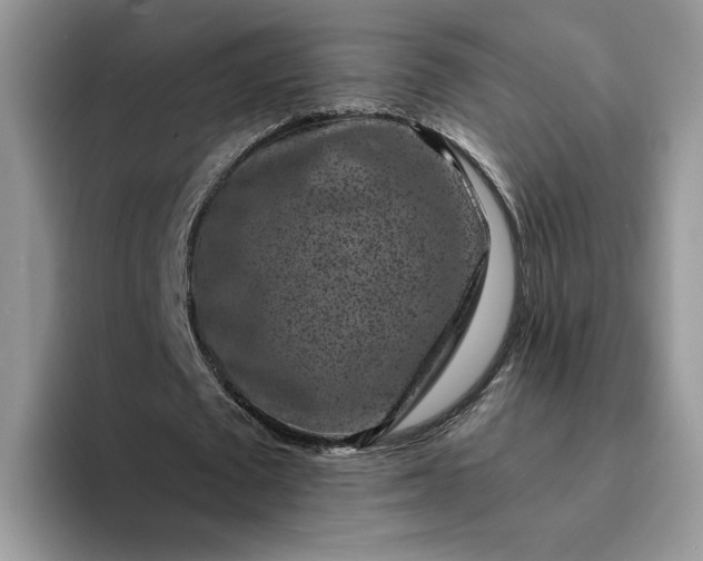 X0000094190673200711091201