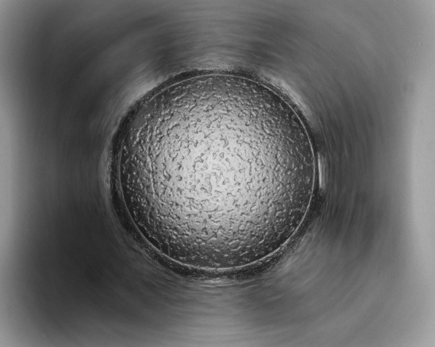 X0000094190675200711091201