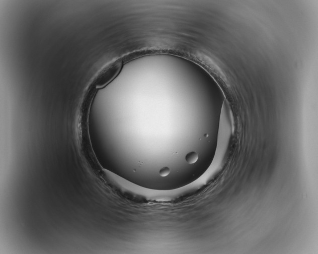 X0000094190676200711091201