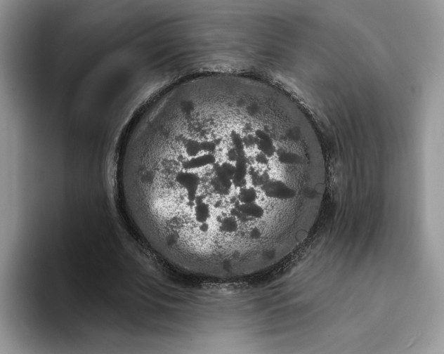 X0000094190679200711091201