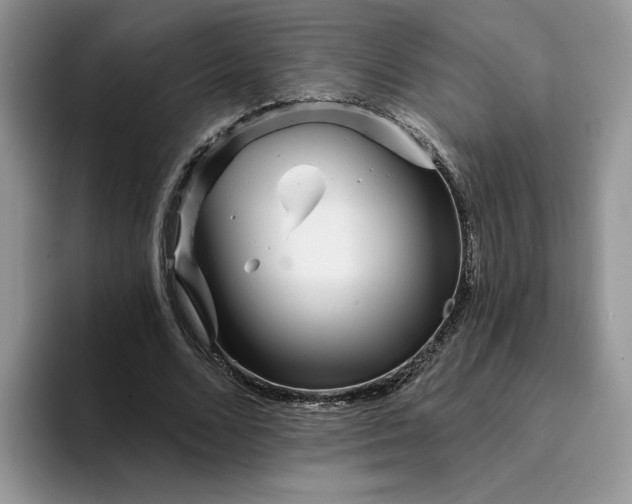 X0000094190680200711091201