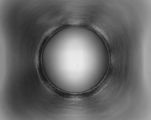 X0000094190682200711091201