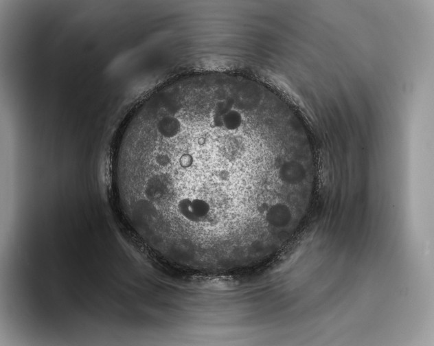 X0000094190683200711091201