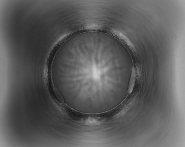 X0000094190684200711091201